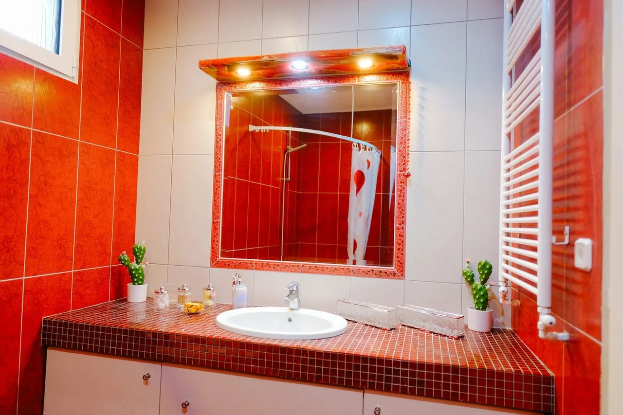 The bathroom
